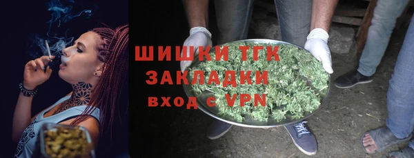 ПСИЛОЦИБИНОВЫЕ ГРИБЫ Ельня