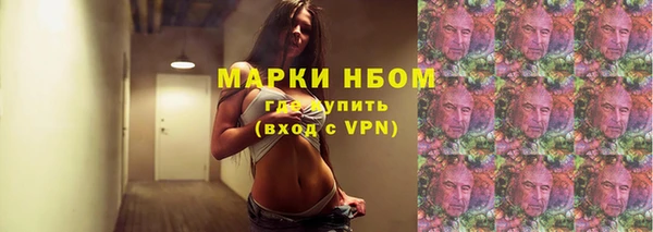 ПСИЛОЦИБИНОВЫЕ ГРИБЫ Ельня