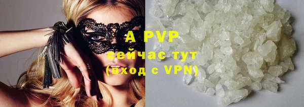 ПСИЛОЦИБИНОВЫЕ ГРИБЫ Ельня