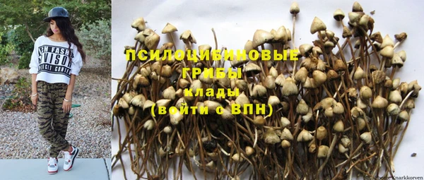 ПСИЛОЦИБИНОВЫЕ ГРИБЫ Ельня