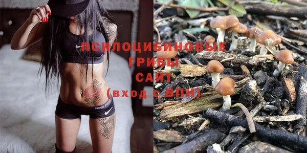 ПСИЛОЦИБИНОВЫЕ ГРИБЫ Ельня
