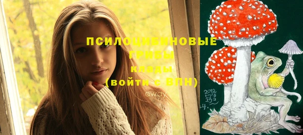 ПСИЛОЦИБИНОВЫЕ ГРИБЫ Ельня