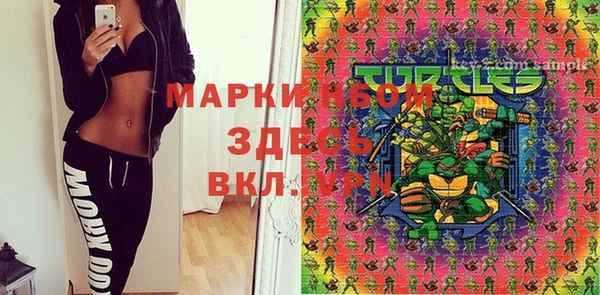 ПСИЛОЦИБИНОВЫЕ ГРИБЫ Ельня