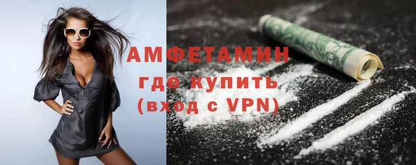 ПСИЛОЦИБИНОВЫЕ ГРИБЫ Ельня