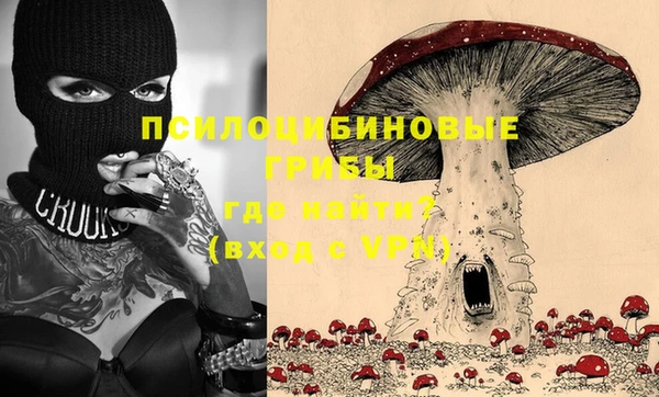 тгк Елабуга