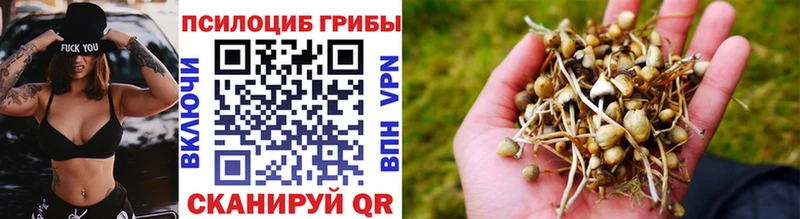 Псилоцибиновые грибы мицелий  Купить закладки  Первоуральск 